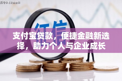 望城支付宝贷款，便捷金融新选择，助力个人与企业成长