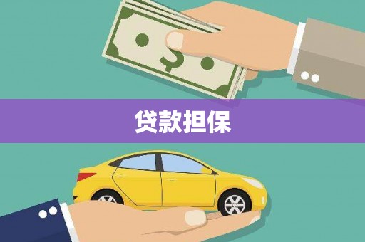 望城贷款担保