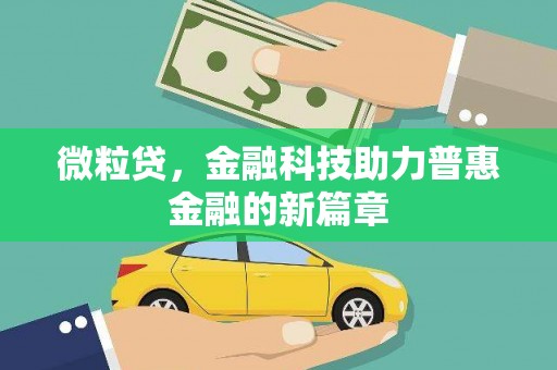 望城微粒贷，金融科技助力普惠金融的新篇章