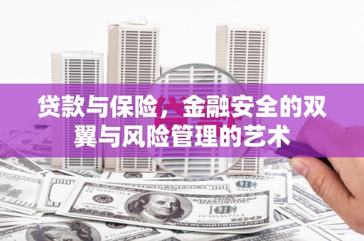 望城贷款与保险，金融安全的双翼与风险管理的艺术