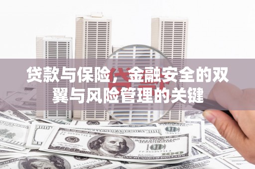 望城贷款与保险，金融安全的双翼与风险管理的关键