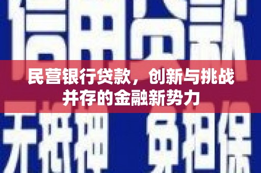 望城民营银行贷款，创新与挑战并存的金融新势力
