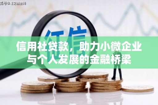 望城信用社贷款，助力小微企业与个人发展的金融桥梁