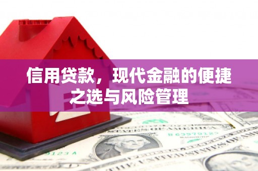 望城信用贷款，现代金融的便捷之选与风险管理