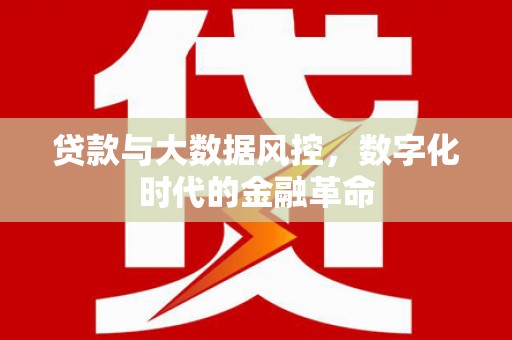 望城贷款与大数据风控，数字化时代的金融革命