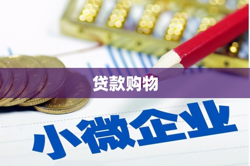 望城贷款购物