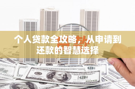 望城个人贷款全攻略，从申请到还款的智慧选择