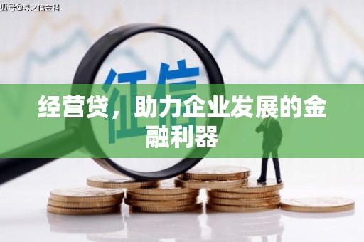 望城经营贷，助力企业发展的金融利器