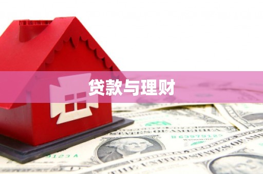 望城贷款与理财