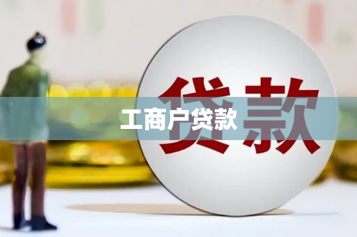 望城工商户贷款