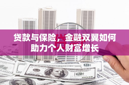 望城贷款与保险，金融双翼如何助力个人财富增长