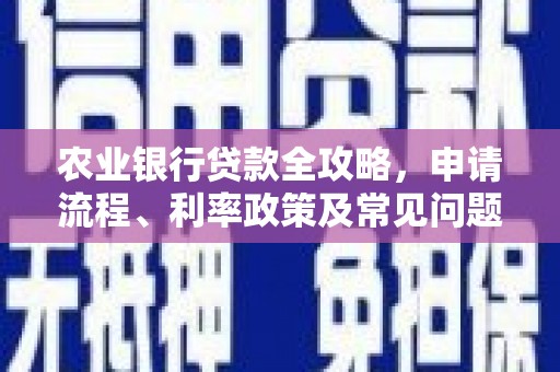 望城农业银行贷款全攻略，申请流程、利率政策及常见问题解析