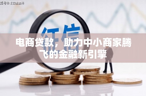 望城电商贷款，助力中小商家腾飞的金融新引擎