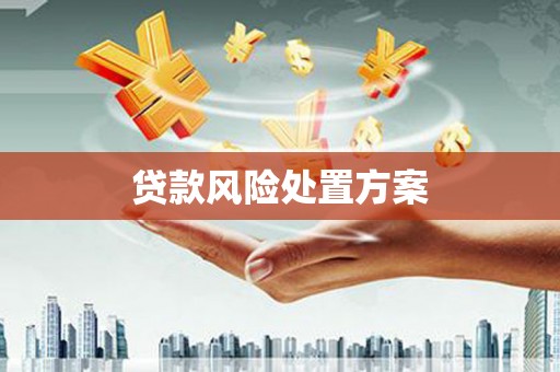 望城贷款风险处置方案