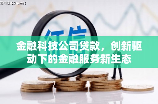 望城金融科技公司贷款，创新驱动下的金融服务新生态