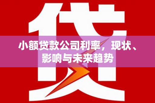 望城小额贷款公司利率，现状、影响与未来趋势