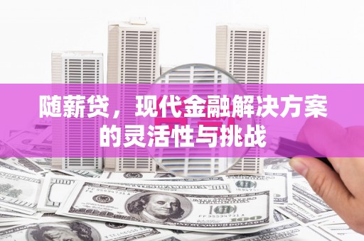 望城随薪贷，现代金融解决方案的灵活性与挑战