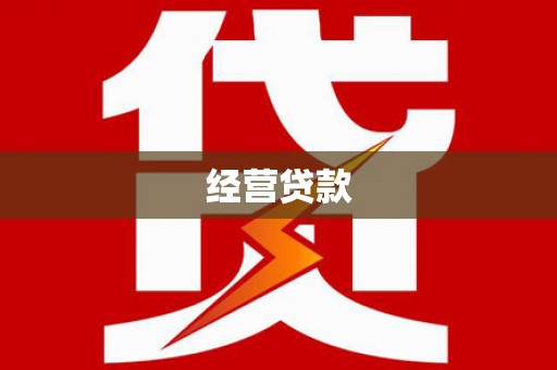 望城经营贷款