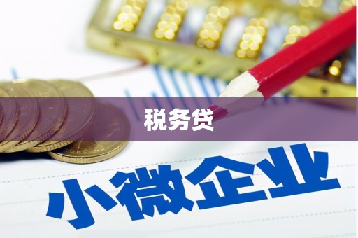 望城税务贷