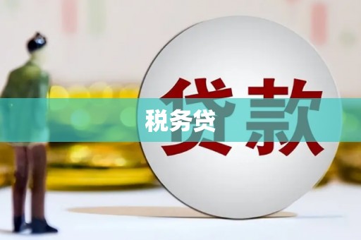 望城税务贷