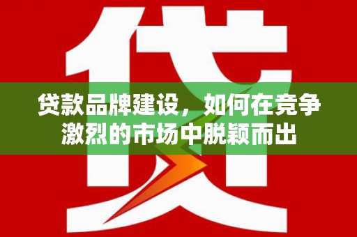 望城贷款品牌建设，如何在竞争激烈的市场中脱颖而出