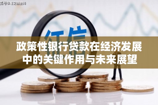 望城政策性银行贷款在经济发展中的关键作用与未来展望