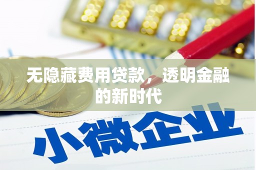 望城无隐藏费用贷款，透明金融的新时代