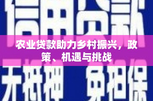 望城农业贷款助力乡村振兴，政策、机遇与挑战