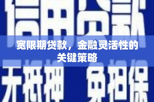 望城宽限期贷款，金融灵活性的关键策略
