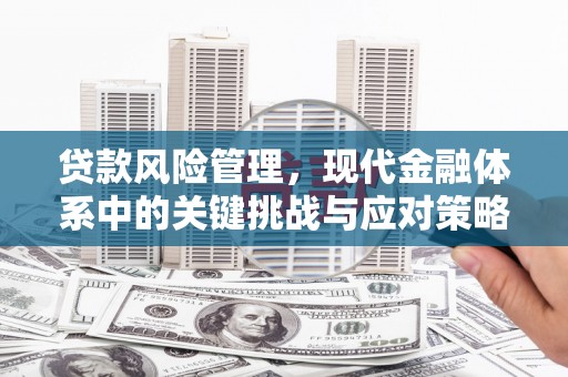 望城贷款风险管理，现代金融体系中的关键挑战与应对策略