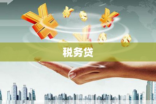 望城税务贷