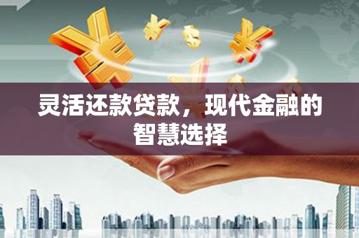 望城灵活还款贷款，现代金融的智慧选择