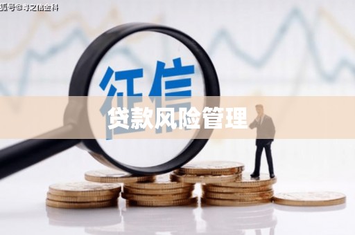 望城贷款风险管理