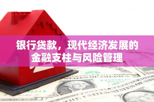 望城银行贷款，现代经济发展的金融支柱与风险管理