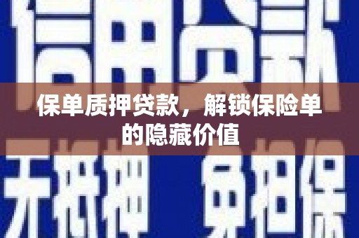 望城保单质押贷款，解锁保险单的隐藏价值