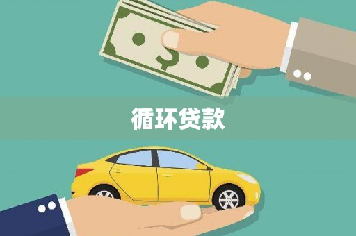望城循环贷款
