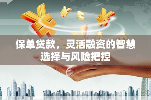 望城保单贷款，灵活融资的智慧选择与风险把控