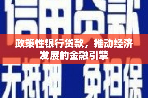 望城政策性银行贷款，推动经济发展的金融引擎