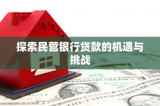 望城探索民营银行贷款的机遇与挑战