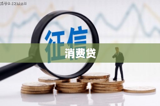 望城消费贷