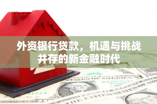 望城外资银行贷款，机遇与挑战并存的新金融时代