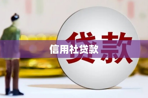 望城信用社贷款