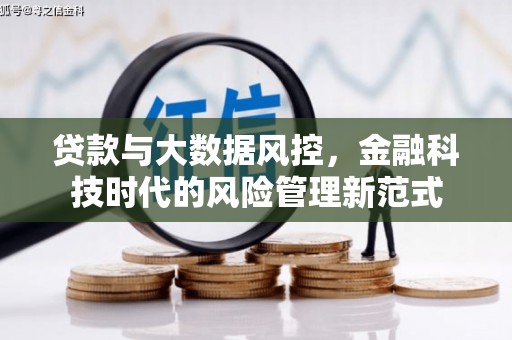 望城贷款与大数据风控，金融科技时代的风险管理新范式