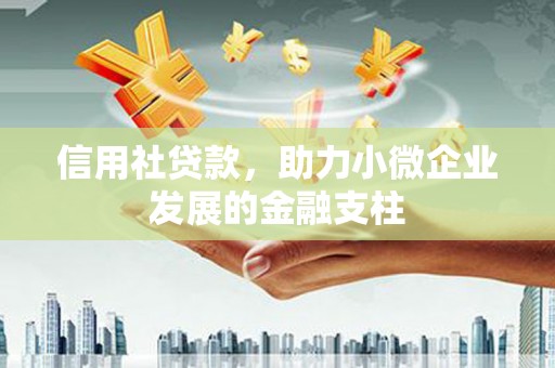 望城信用社贷款，助力小微企业发展的金融支柱