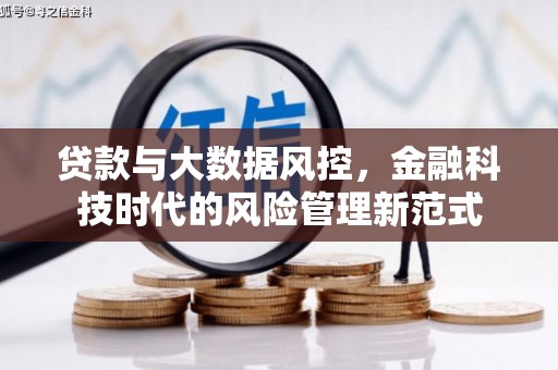 望城贷款与大数据风控，金融科技时代的风险管理新范式