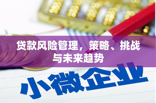望城贷款风险管理，策略、挑战与未来趋势