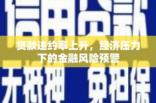 望城贷款违约率上升，经济压力下的金融风险预警