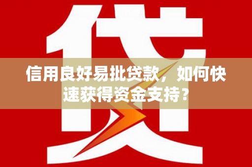 望城信用良好易批贷款，如何快速获得资金支持？