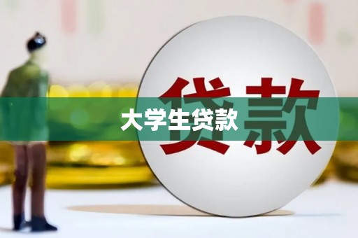 望城大学生贷款