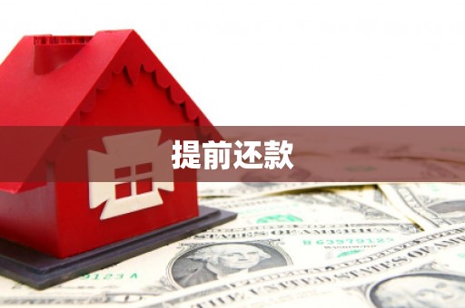 望城提前还款